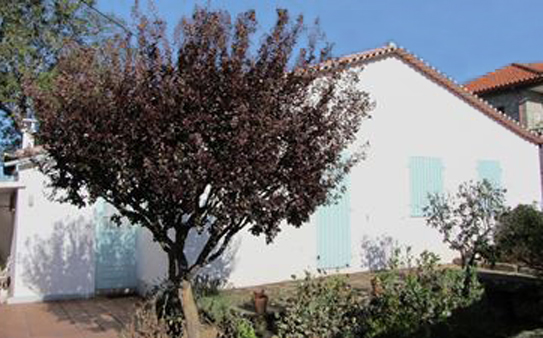 Casa Miguel Torga